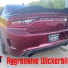 Charger Wickerbill